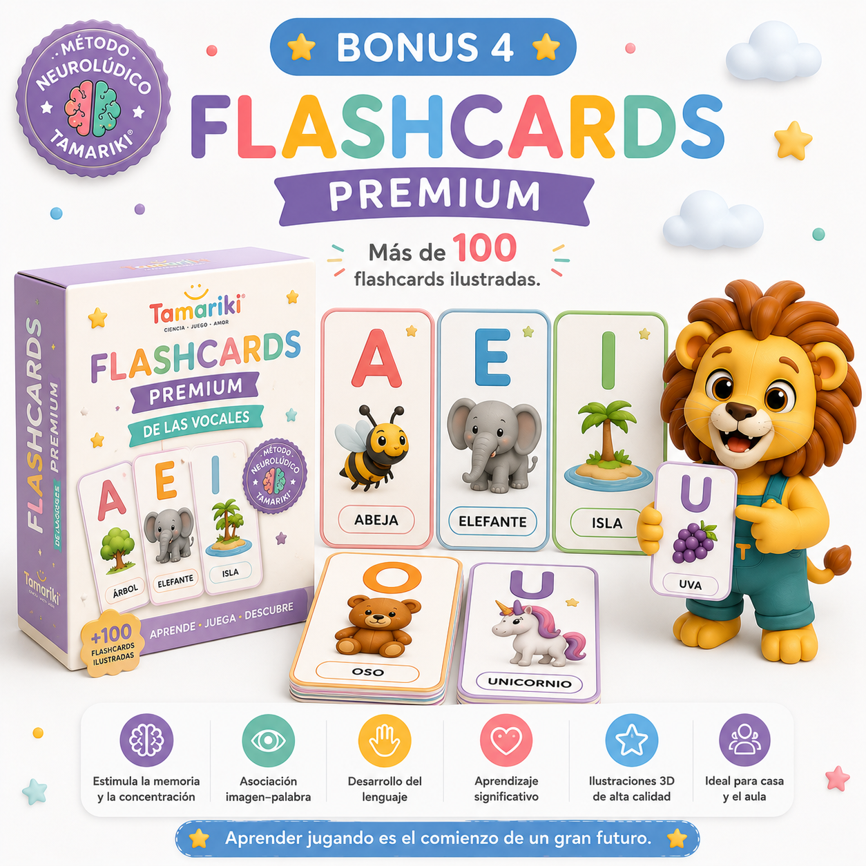 Flashcards